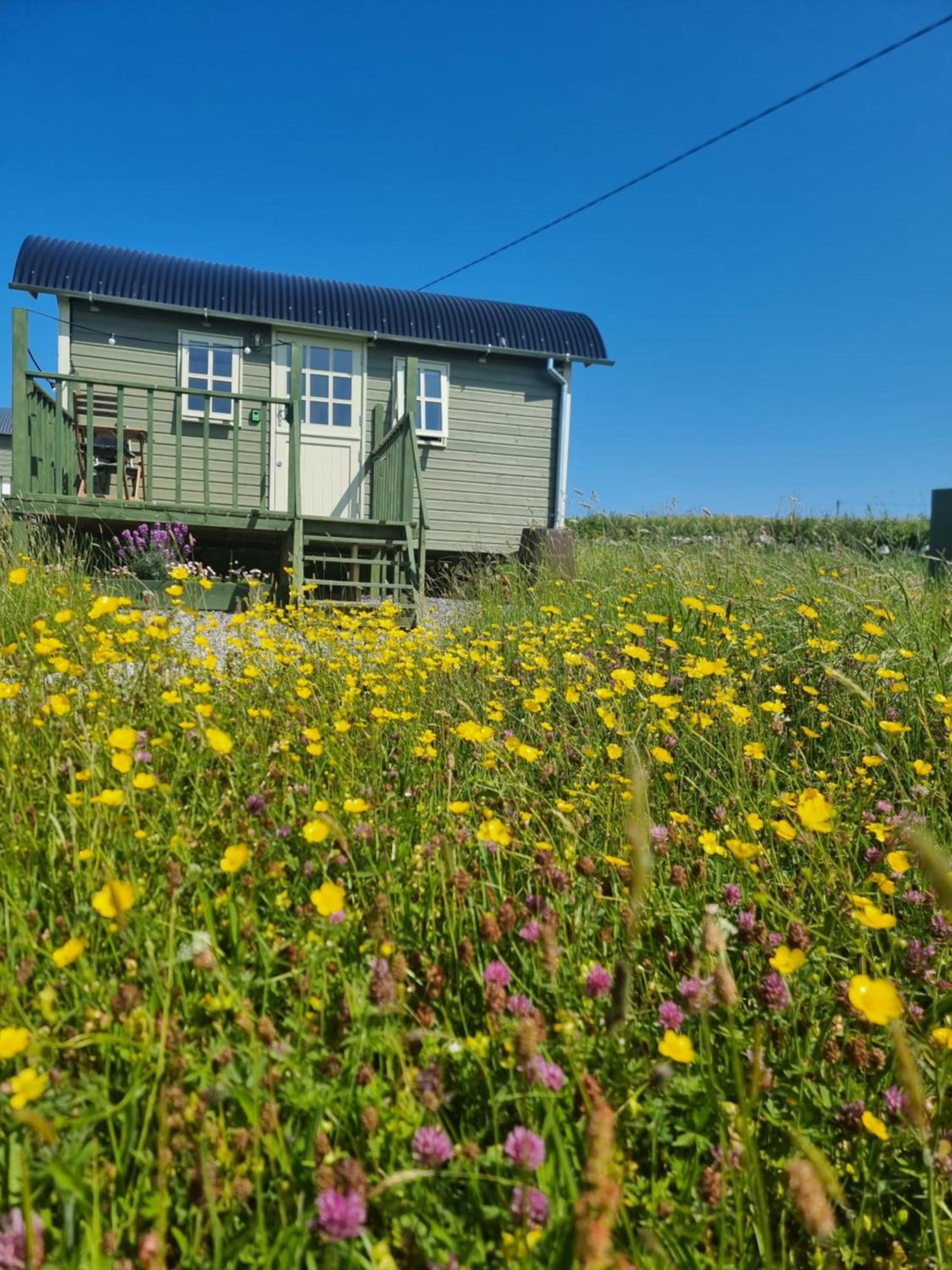 Vila Wild Meadow Huts Doolin Exteriér fotografie