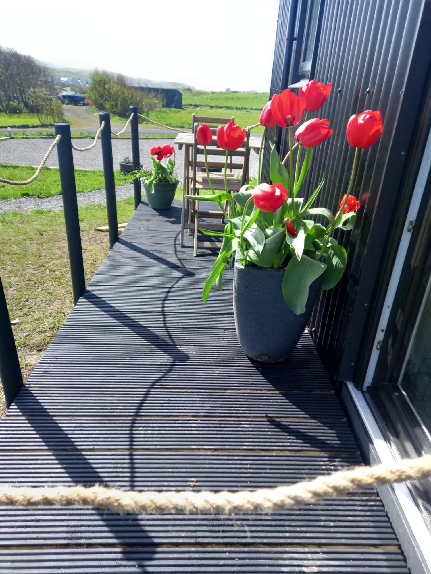 Vila Wild Meadow Huts Doolin Exteriér fotografie