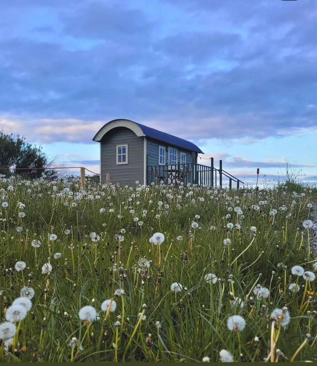 Vila Wild Meadow Huts Doolin Exteriér fotografie