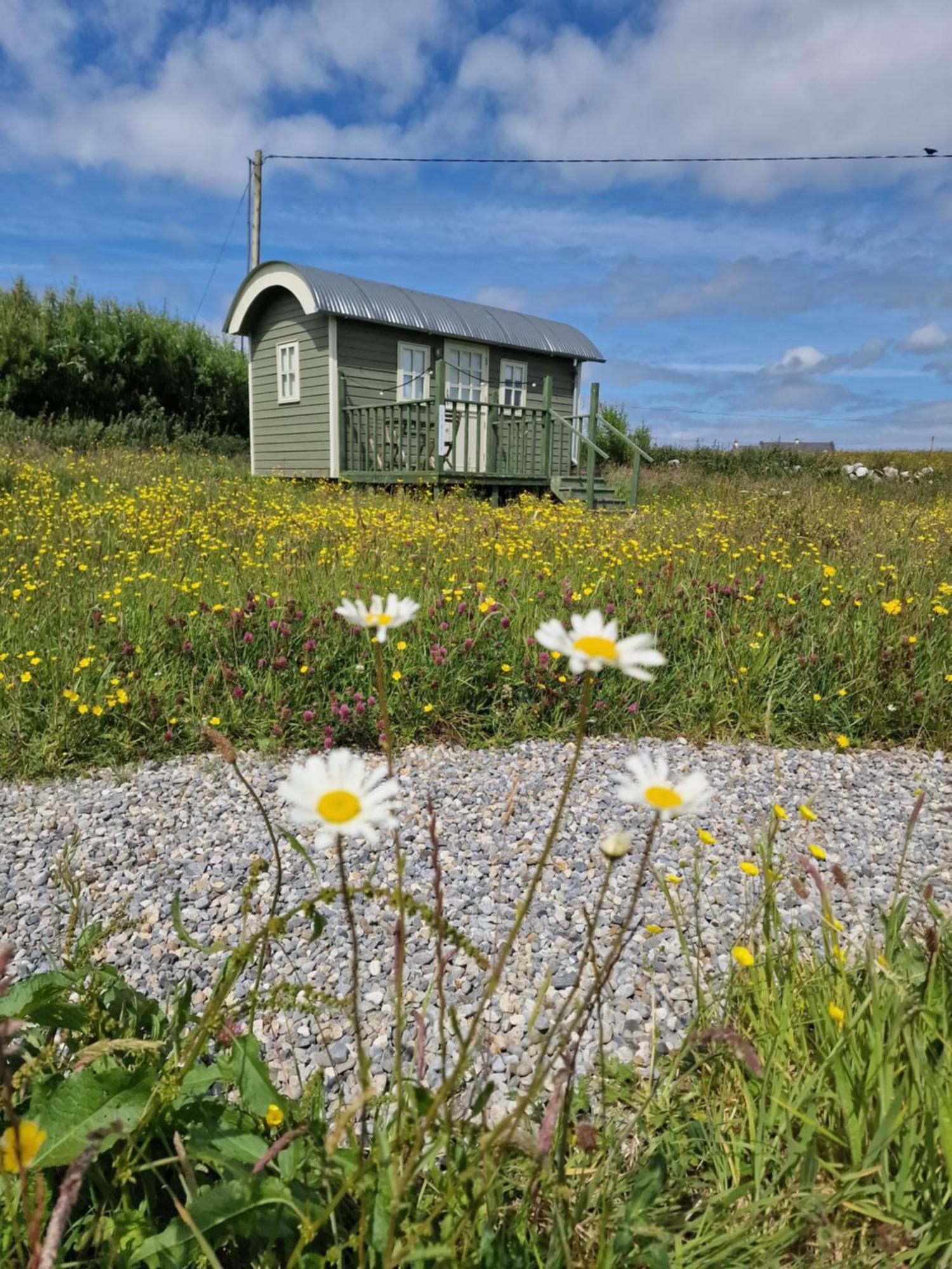 Vila Wild Meadow Huts Doolin Exteriér fotografie