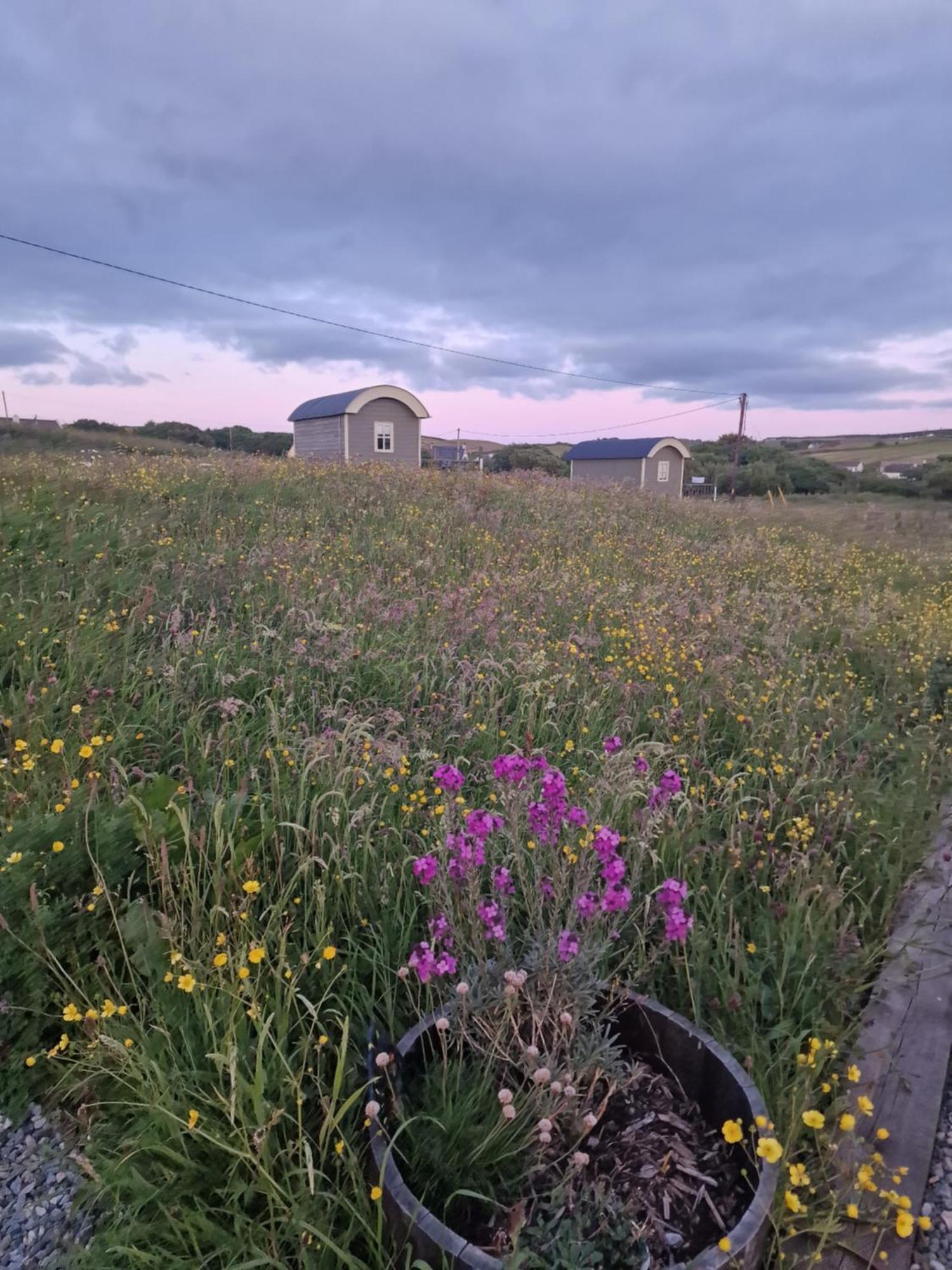 Vila Wild Meadow Huts Doolin Exteriér fotografie