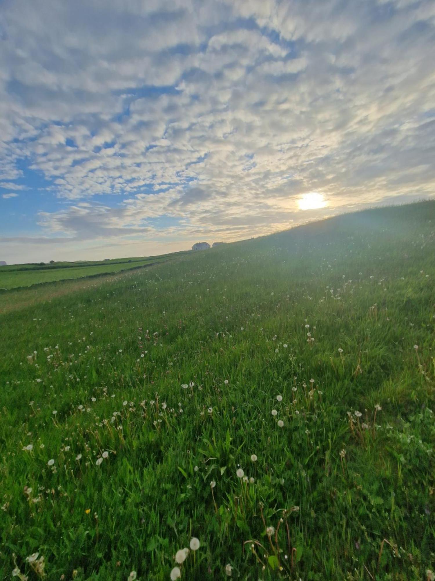 Vila Wild Meadow Huts Doolin Exteriér fotografie