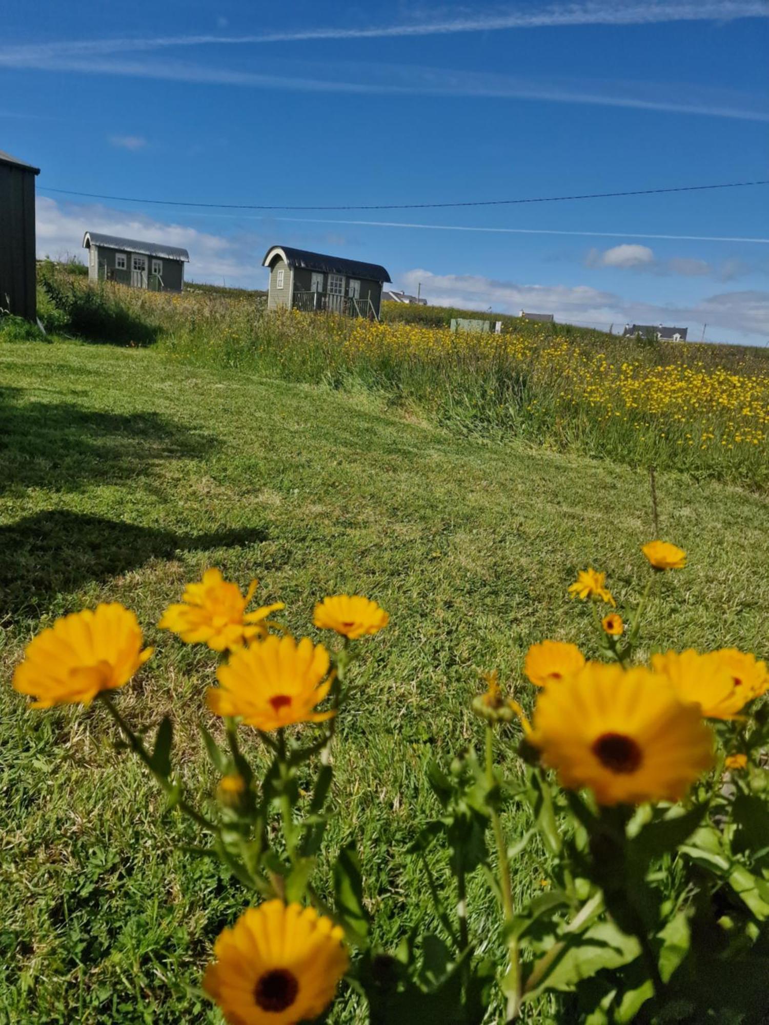Vila Wild Meadow Huts Doolin Exteriér fotografie